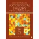 Contemporary Sociological Theory and Its Classical Roots: The Basics