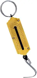 Holibanna 50kg Portable Weighing Scale Electronic Hook Scale for Kitchen Vegetables Meat Home Outdoor Use