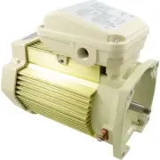 Pentair WhisperFlo 3HP Motor 1- Phase TEFC 354817S