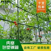 在飛比找樂天市場購物網優惠-。豆角架黃瓜架子絲瓜爬藤架子包塑鋼管園藝支架瓜棚架爬藤架戶外