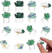 20 Pieces Cute Succulent Plants Decorative Push Pins Colorful Floret Thumbtacks for Photo Wall, Feature Wall, Whiteboard, Cork Board, Map, Bulletin Board, Office or Home (Three Assorted Styles)