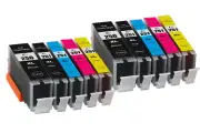 10 PK Ink Cartridge + LED chip for PGI-250 CLI-251 Cannon iX6820 iP7220 MX922