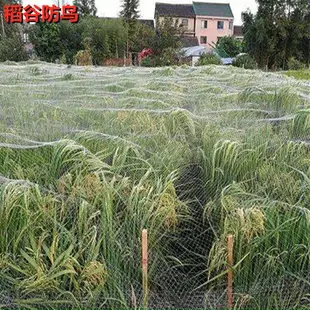 果園專用果樹防鳥網稻谷農作物防護網魚蝦蟹塘防鳥抗老化壽命長