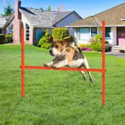 Adjustable Height Dog Agility Hurdle, Jump Training Obstacle Course Beginner Kit