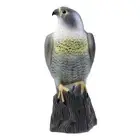 Eagle Hunting Decoy Bird Scarer Scarecrow for Home Garden