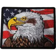 Patriot Eagle Sew On Iron On Embroidered Patch America