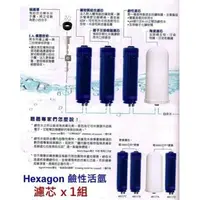 在飛比找蝦皮購物優惠-Hexagon 鹼性活氫水過濾系统 科士威48116水機 1