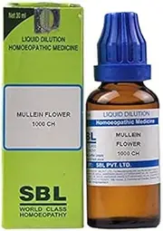 SBL Mullein Flower Dilution 1000 CH (30 ml) Free Pallas USA Rose Perfume Oil