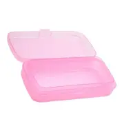 Efficient Nail Tool Sanitizer Tray Storage For Salon Preventing Contamination