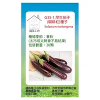 在飛比找momo購物網優惠-【蔬菜工坊】G35-1.早生茄子種子(咖啡紅)