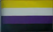 Non Binary Flag 90cm X 150cm