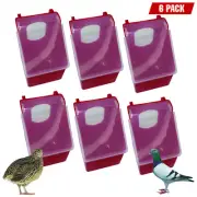 Plastic 1 Hole Quail Pigeon Dove Bird Outside Cage Mount Feeder【6Pack】