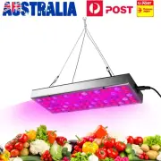 Led Grow Lights Full Spectrum Panel Grow Lamp With IR UV Leds For Indoor Plant