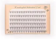 (10D Mix) Volume Cluster Eyelash Extension Individual Russian False Mink Lashes C