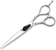FOMIYES 5.5 Hair Cut Scissors Set 2pcs Professional Hairdressing Scissor Thinning Scissors Silver Handle for Barbers