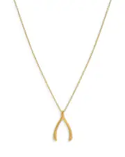 Zoe Lev 14K Yellow Gold Wishbone Pendant Necklace, 18