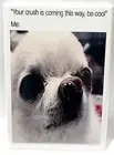 Crush Is Coming MAGNET 2"x3" Refrigerator Locker Meme Funny