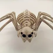 Giant Halloween Spider Skeleton Decoration - Perfect for Haunted House Pranks Festive Home Decor No Power Needed