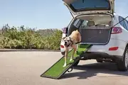 Good2Go Portable Pet Ramp