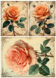Sweet Rose | A4 Rice Paper | Paper for Decoupage | LaBlanche