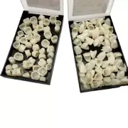 Dental Temporary Crown Veneer Front + Back Anterior Resin Teeth Tooth Cap