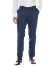 TailorByrd Dress Pant