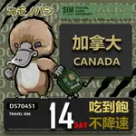 【鴨嘴獸 旅遊網卡】TRAVEL SIM 加拿大14天 吃到飽不降速 上網卡