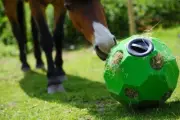 Hay Play Horse Feed Toy natural grazing position sheep goats ponies horses