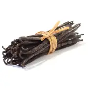 1 Lb Madagascar Extract Grade Bourbon Vanilla Beans [Whole]