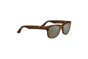 Serengeti Foyt Large SS550001 Havana / 555nm Polarised Lenses