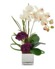Creative Displays Cream Orchid & Purple Sedum Floral Arrangement