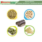 Capsule Of Pure Channa Striata Common Snakehead Ikan Gabus Organic Natural Herb