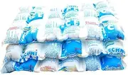 Heavy Duty Reusable Dry Ice pack (1 pack)