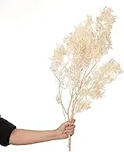 Uniquewise Bleached Pansy Flower Bundles Natural Preserved Vase Fillers Home Decor Accents for Living Room Shelves Porch Planters Kitchen Counters Patios Gardens and Wedding Table Centerpieces, White