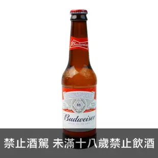 百威啤酒小玻330ML(24入)