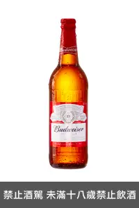 在飛比找上層發酵優惠-百威啤酒600ml(12瓶) BUDWEISER BEER