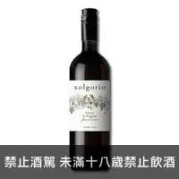 在飛比找買酒專家優惠-嘉年華紅酒 Xolgorio Vino De Espana 