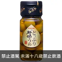 在飛比找品酒網優惠-日本 Choya 果實梅酒 540ml Choya Umen