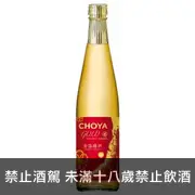 CHOYA金箔梅酒 500ml