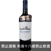 在飛比找品酒網優惠-阿根廷 安第斯之箭亞古立精選紅酒 750ml Flechas