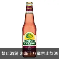 在飛比找品酒網優惠-瑞典 夏日蜜蘋果酒 莓果口味(玻璃瓶) 330ml Some