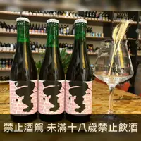 在飛比找Beer Bee 啤酒瘋優惠-杜歐-誰知盤中酸:洛神蔓越莓版(To Øl Surt Til