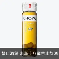 在飛比找獵酒人優惠-CHOYA 蜂蜜梅酒 - 獵酒人