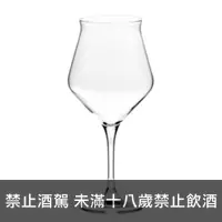 在飛比找一飲商店優惠-Lehmann Selection 精釀啤酒品酒杯 420m