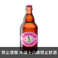 在飛比找上層發酵優惠-小于廉 綜合水果白啤酒 Newton Apple