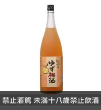 在飛比找RAKUSAKE 樂酌優惠-中野BC 紀州 柚子梅酒 720ML